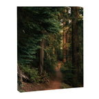 Come With Me Canvas Print Gallery Image 6