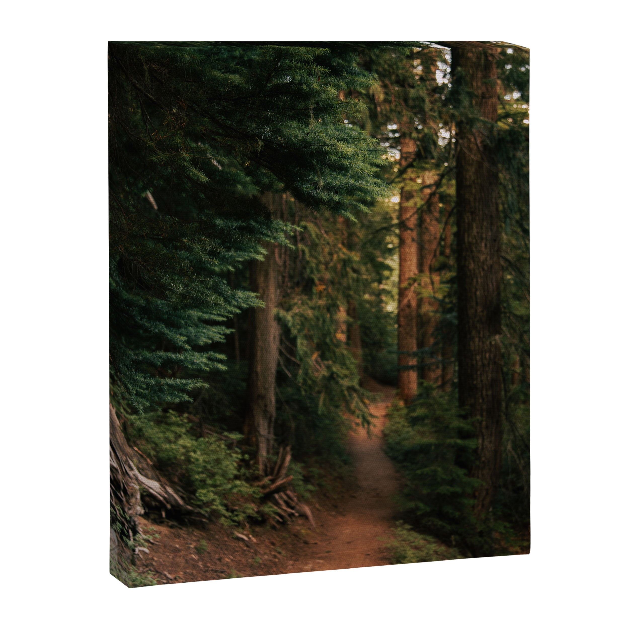 Come With Me Canvas Print Gallery Image 6