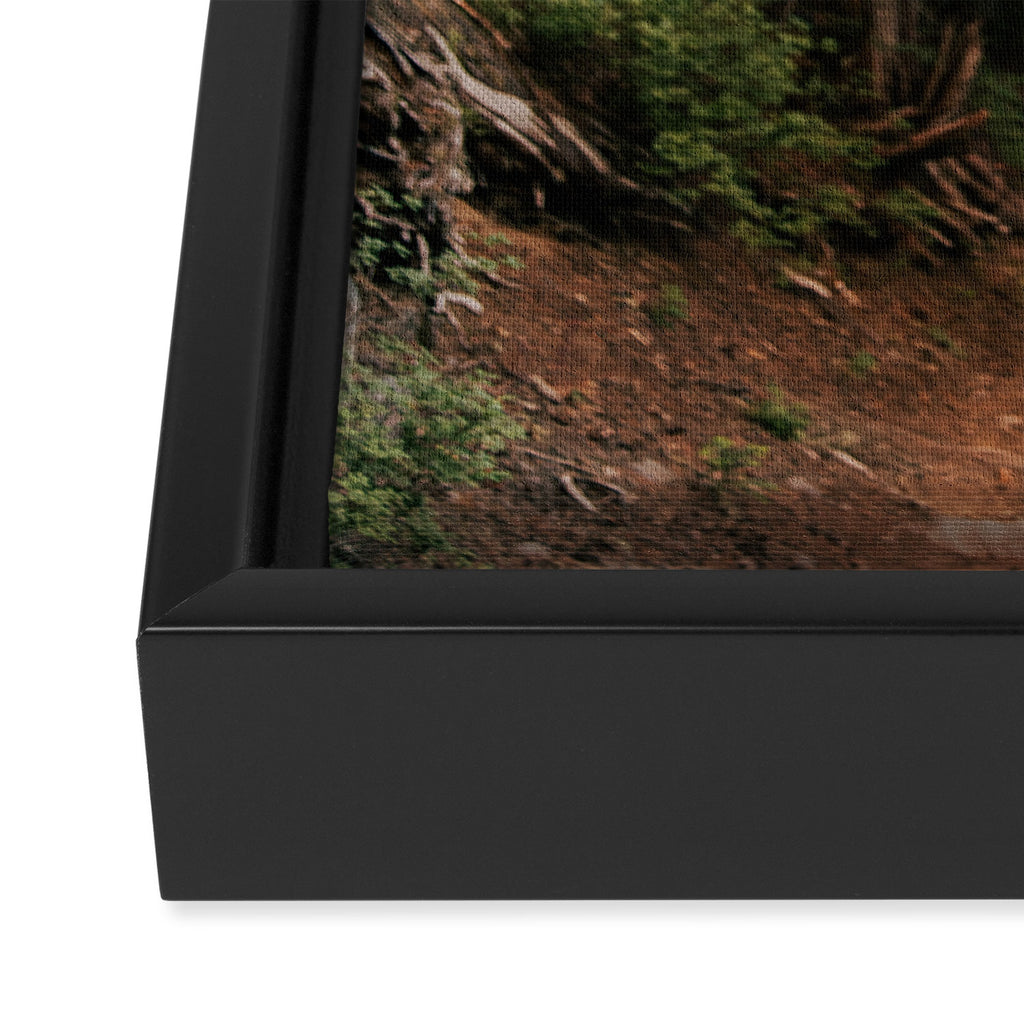 Come With Me Framed Canvas Print Gallery Image 3