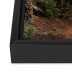 Come With Me Framed Canvas Print Gallery Image 3