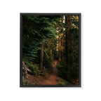 Come With Me Framed Canvas Print Gallery Image 6