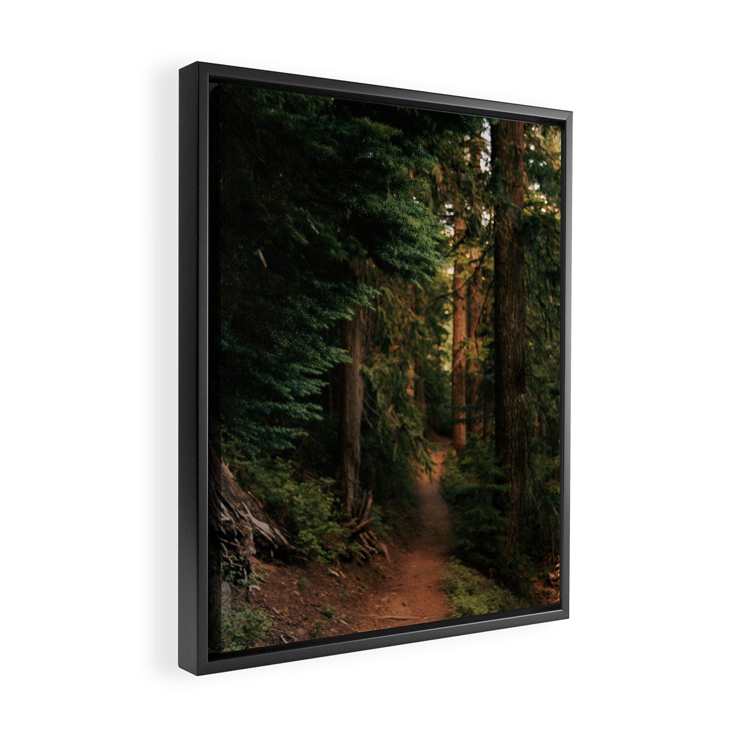Come With Me Framed Canvas Print Gallery Image 2