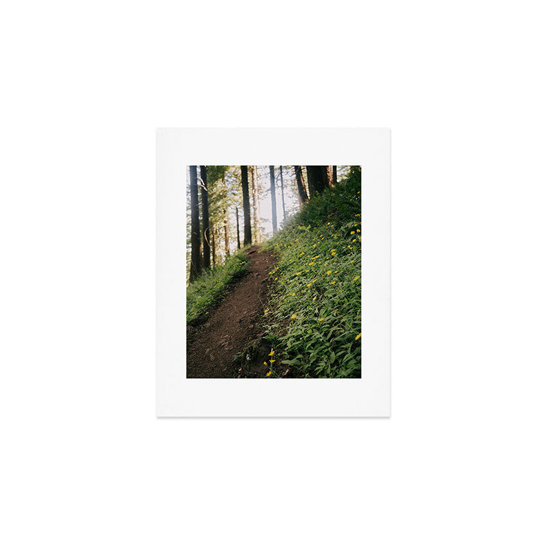 Dandelion Trail Art Print Gallery Image 1