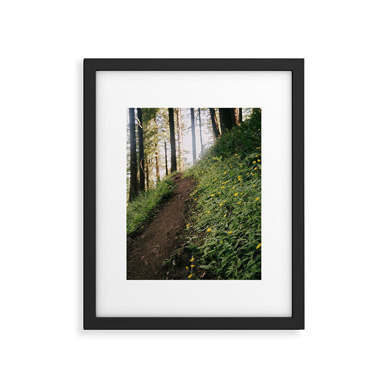 Dandelion Trail Framed Art Print Gallery Image 5
