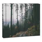 Forest Drive Canvas Print Gallery Image 6
