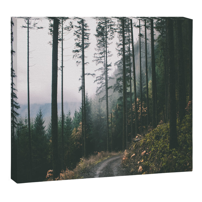 Forest Drive Canvas Print Gallery Image 1