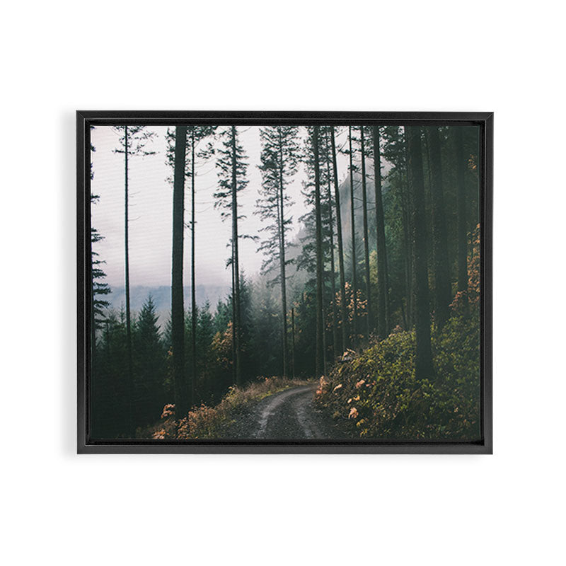 Forest Drive Framed Canvas Print Gallery Image 6