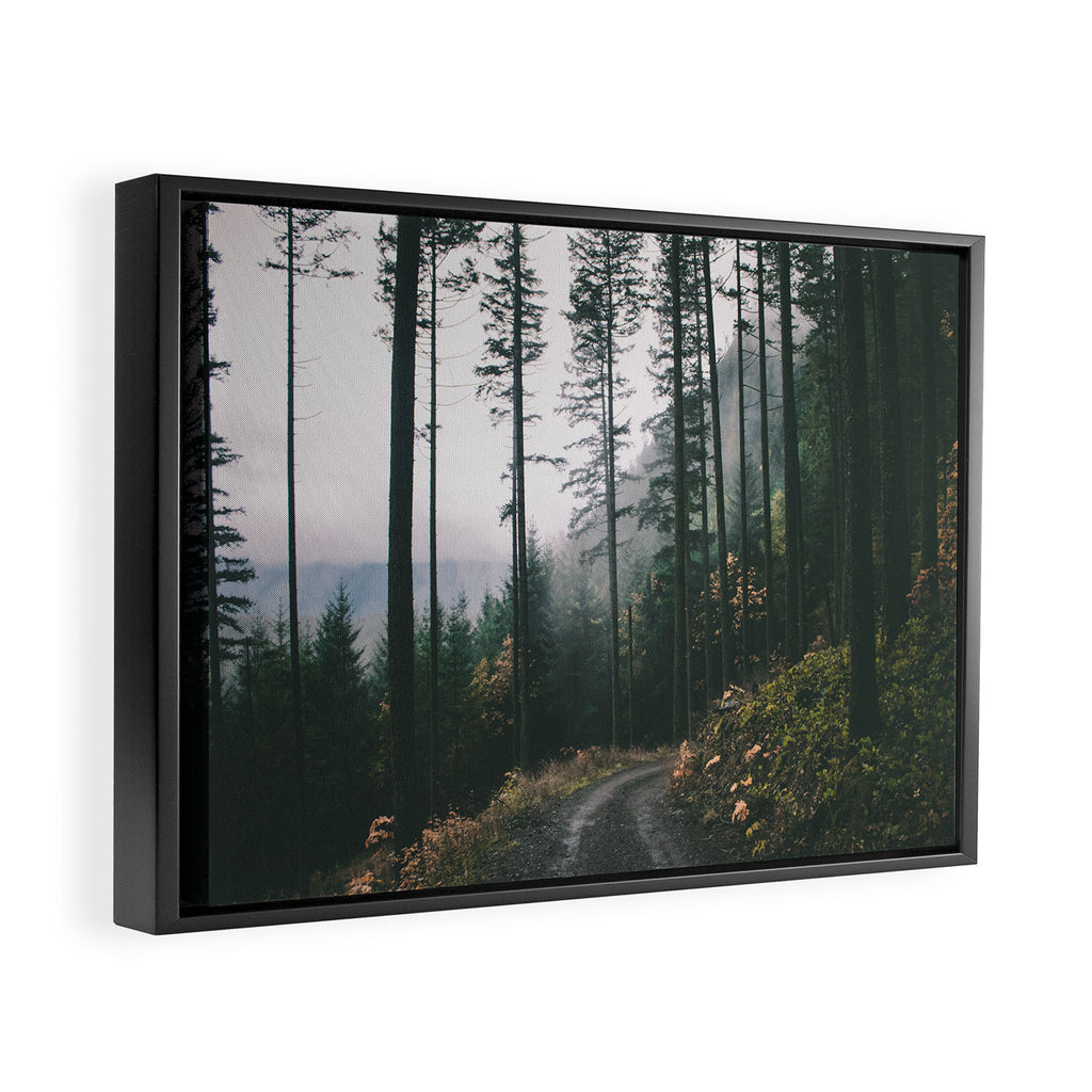Forest Drive Framed Canvas Print Gallery Image 2