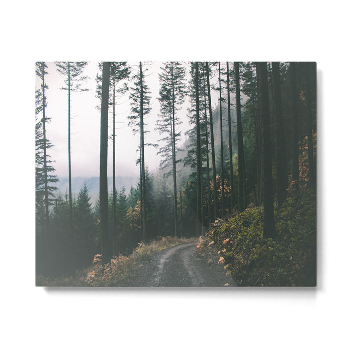 Forest Drive Metal Print Gallery Image 1