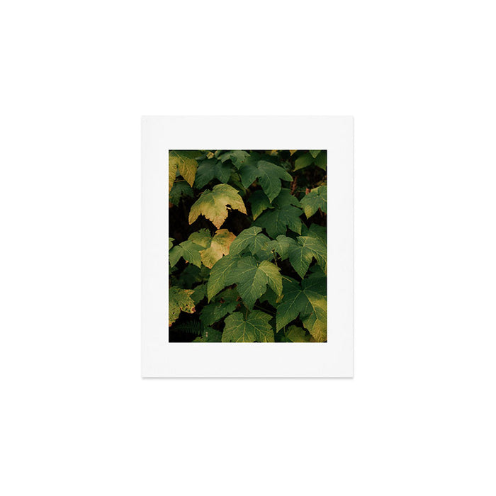 Early Foliage Art Print Gallery Image 1