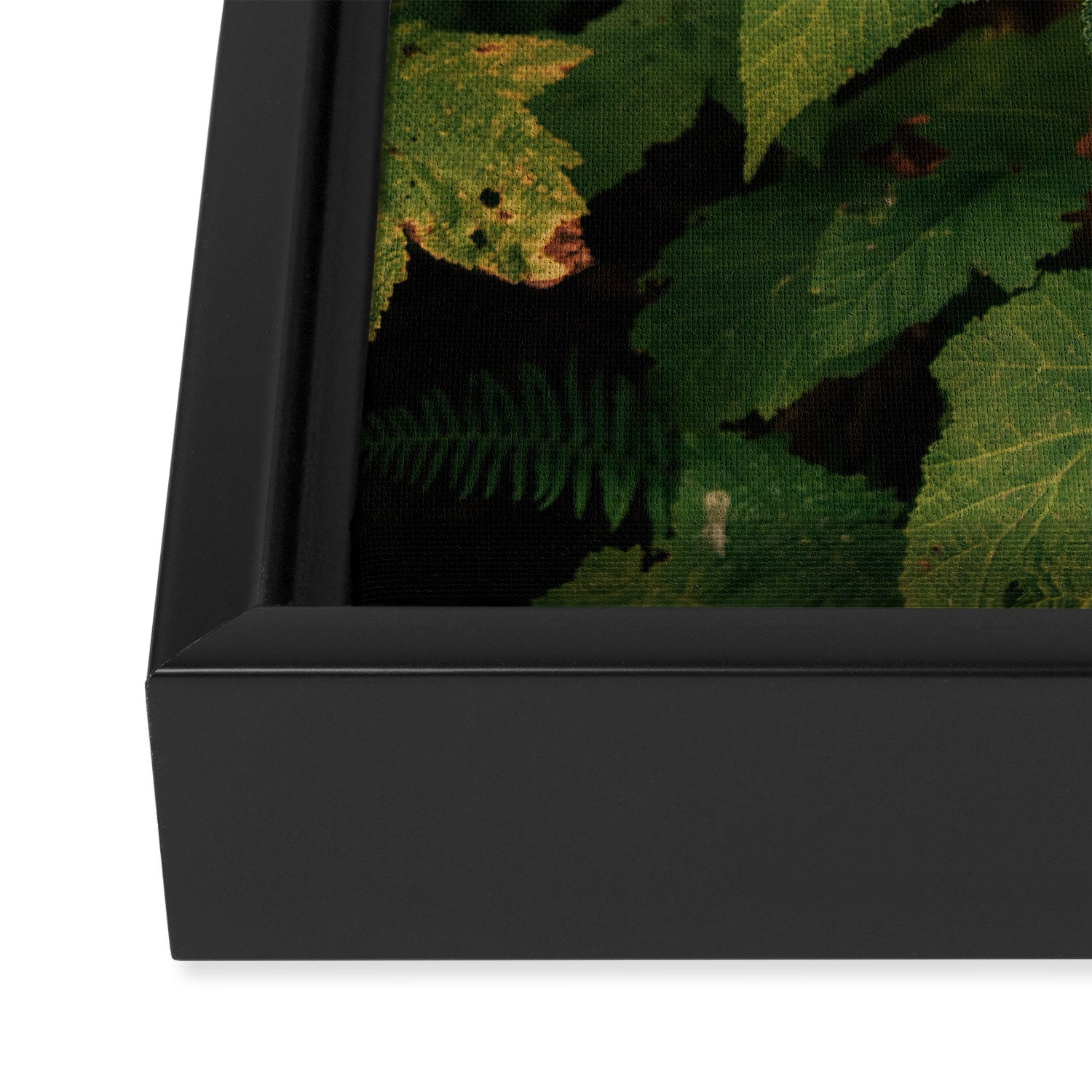Early Foliage Framed Canvas Print Gallery Image 3