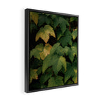 Early Foliage Framed Canvas Print Gallery Image 2
