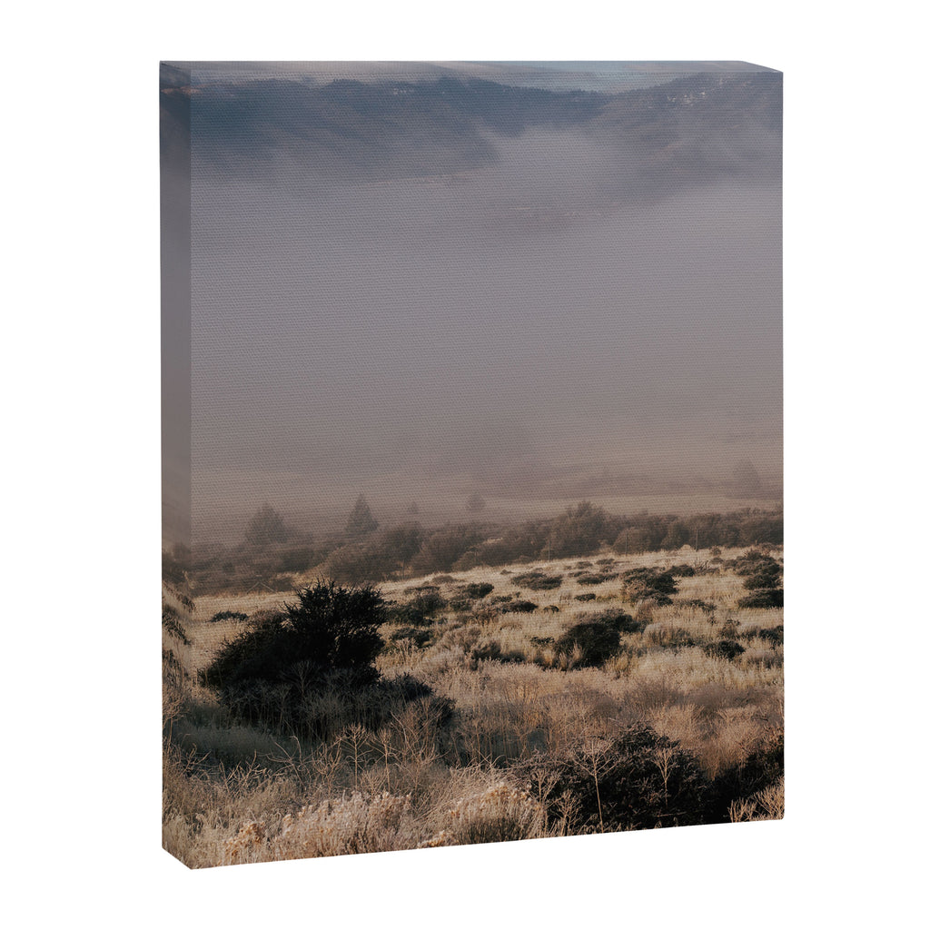 Early Morning in California Canvas Print Gallery Image 6