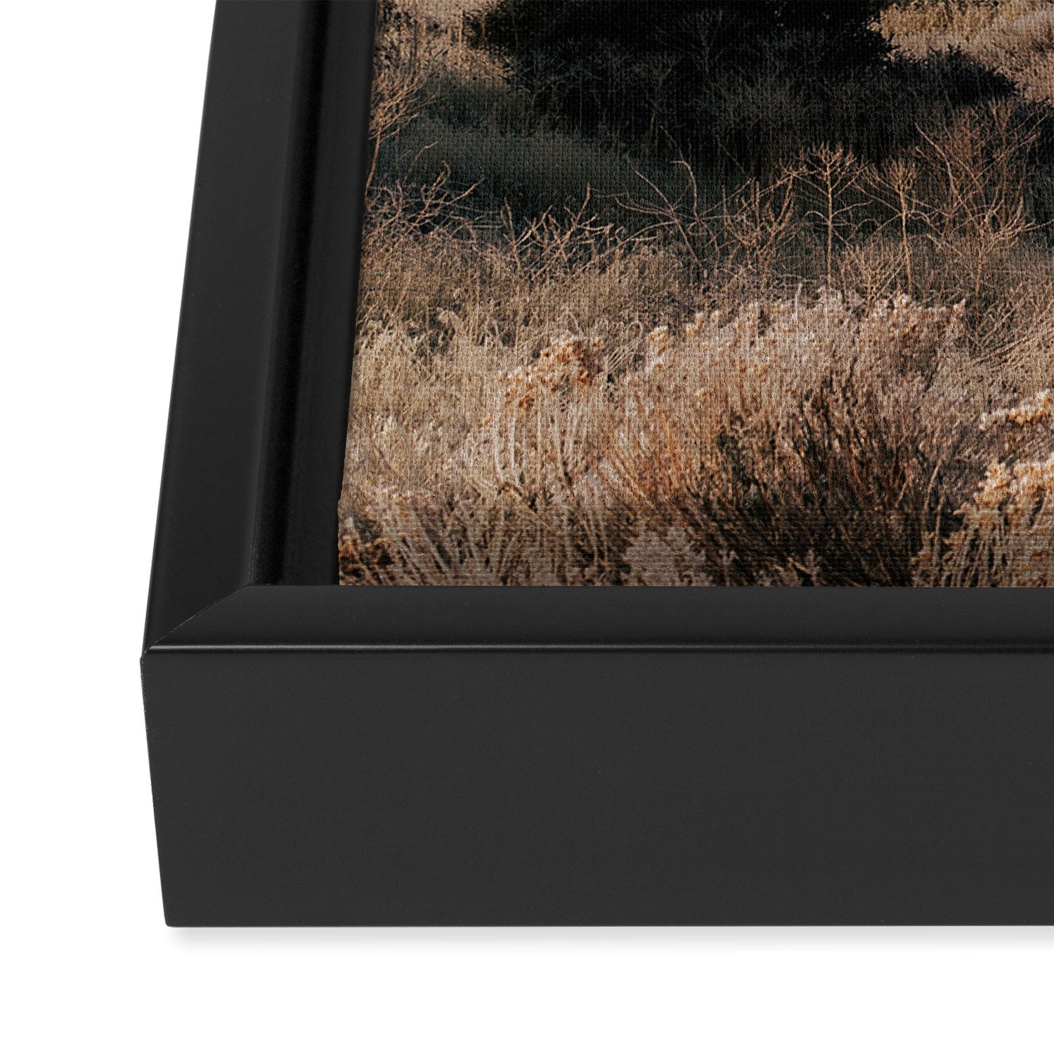 Early Morning in California Framed Canvas Print Gallery Image 3