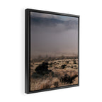 Early Morning in California Framed Canvas Print Gallery Image 2