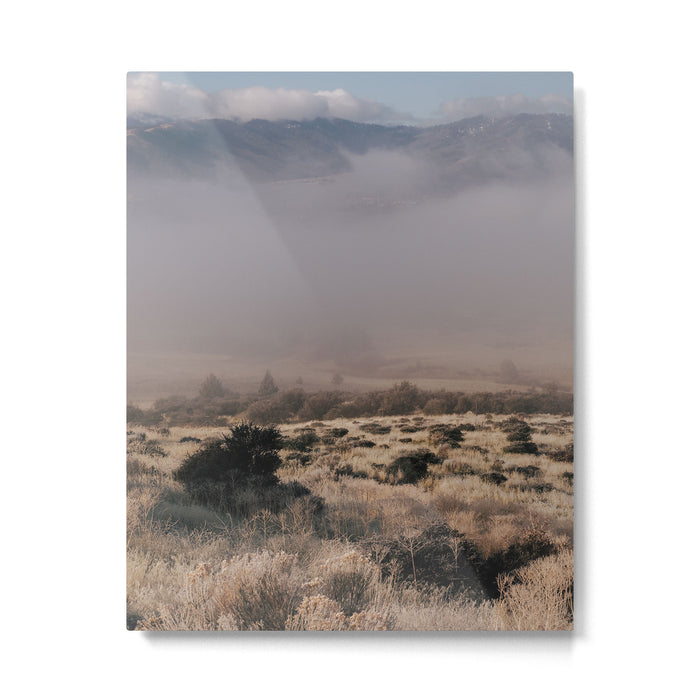 Early Morning in California Metal Print Gallery Image 1