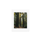 Echoes of the Forest Art Print Gallery Image 1