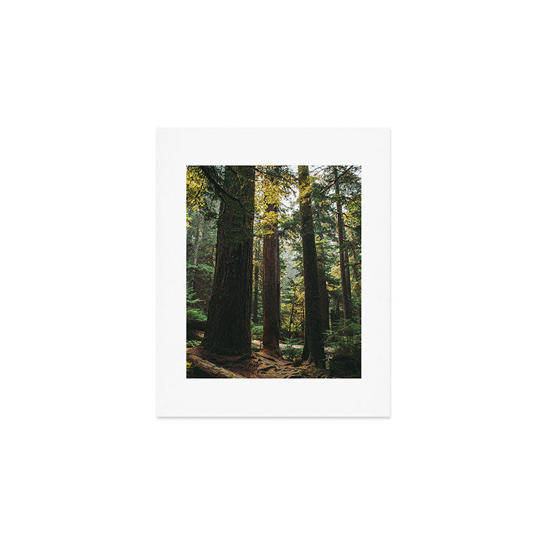 Echoes of the Forest Art Print Gallery Image 1