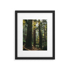 Echoes of the Forest Framed Art Print Gallery Image 5