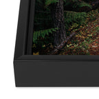 Fall Trail Framed Canvas Print Gallery Image 3