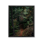 Fall Trail Framed Canvas Print Gallery Image 6