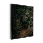 Fall Trail Framed Canvas Print Gallery Image 2