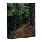 Fall Trail II Canvas Print Gallery Image 6