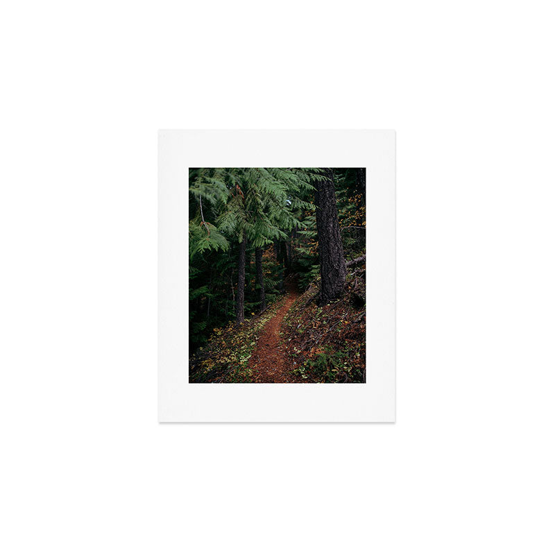 Fall Trail II Art Print Gallery Image 1