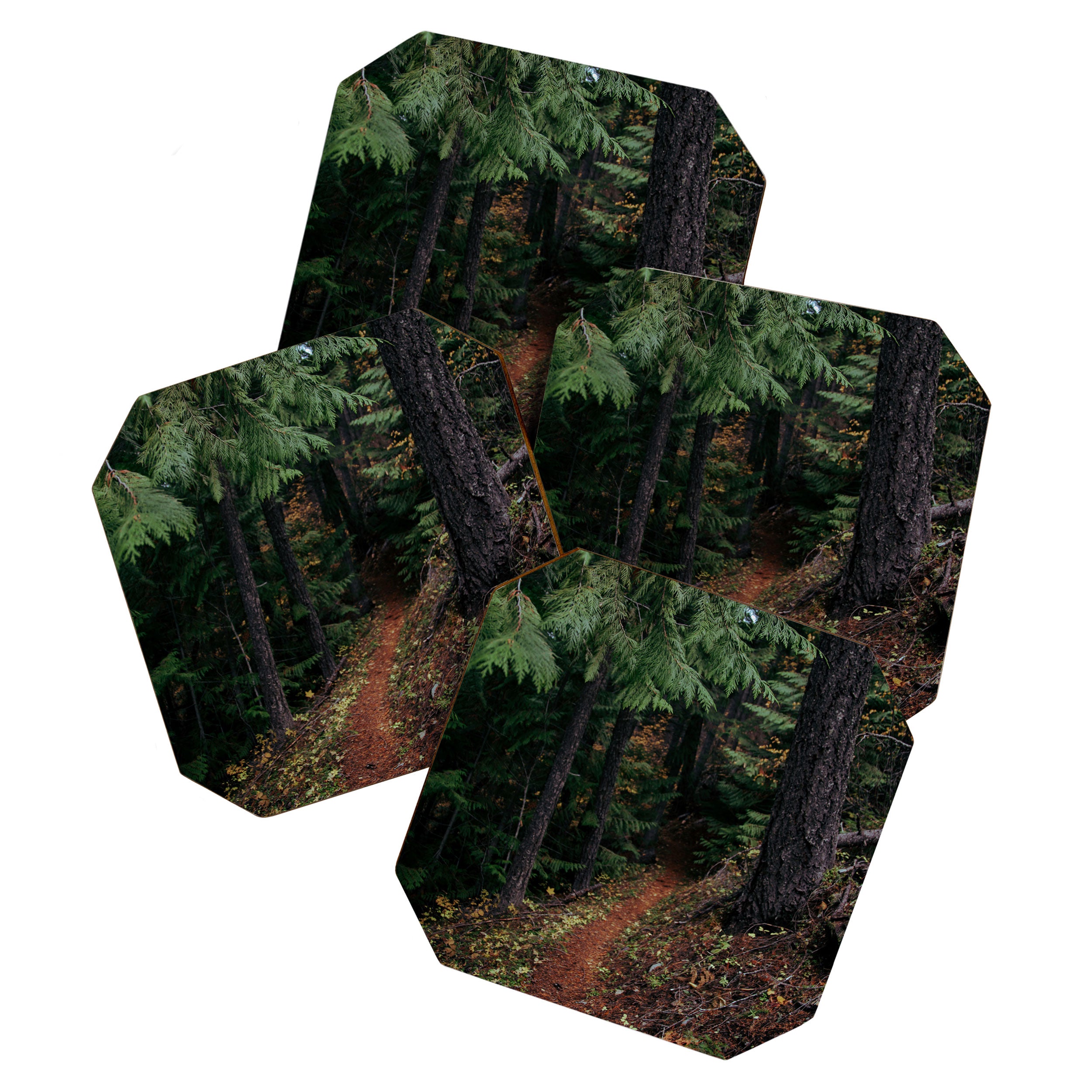 Fall Trail II Coaster Gallery Image 1