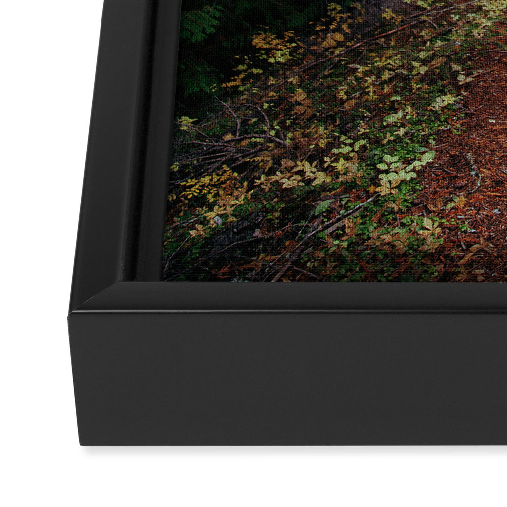 Fall Trail II Framed Canvas Print Gallery Image 3