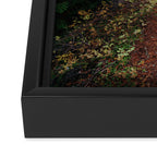Fall Trail II Framed Canvas Print Gallery Image 3