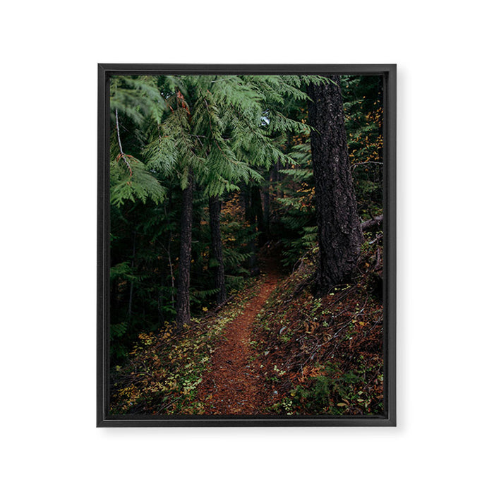 Fall Trail II Framed Canvas Print Gallery Image 1