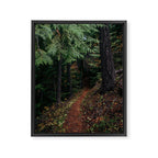 Fall Trail II Framed Canvas Print Gallery Image 6