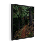 Fall Trail II Framed Canvas Print Gallery Image 2