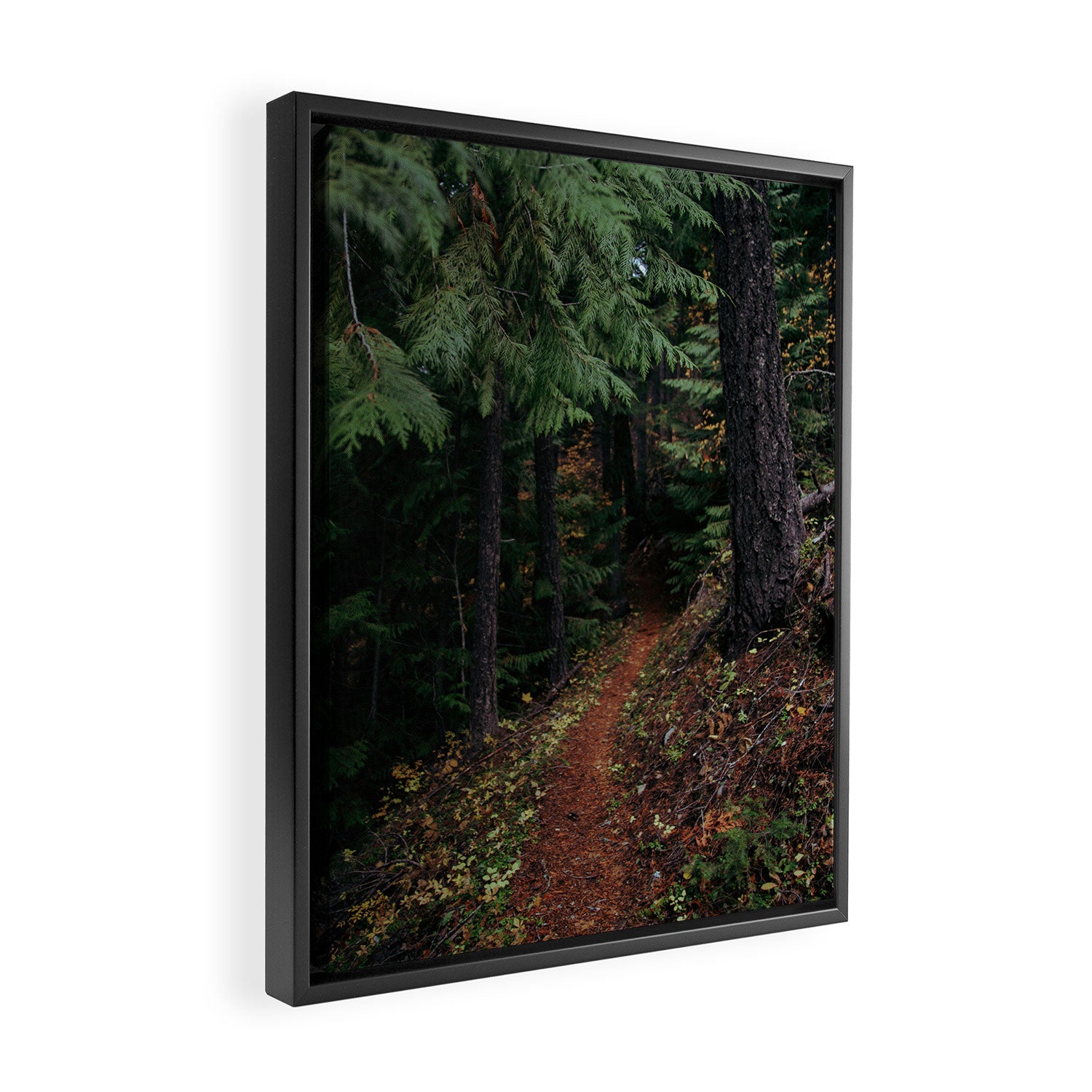 Fall Trail II Framed Canvas Print Gallery Image 2