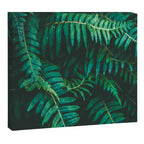 Ferns  Canvas Print Gallery Image 6