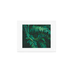 Ferns  Art Print Gallery Image 1