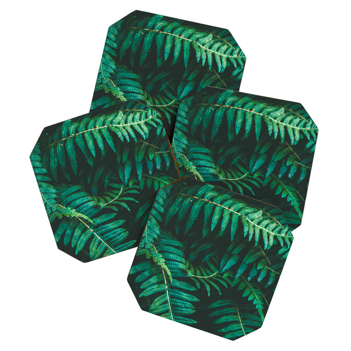 Ferns  Coaster Gallery Image 1