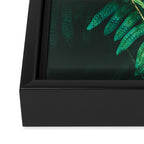 Ferns  Framed Canvas Print Gallery Image 3