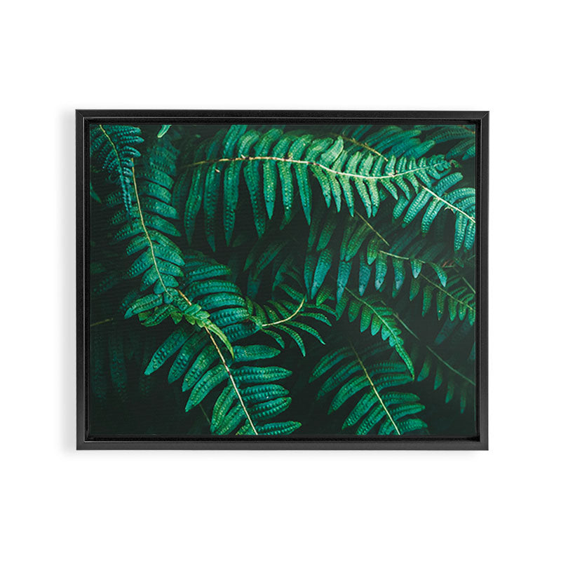 Ferns  Framed Canvas Print Gallery Image 6