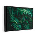 Ferns  Framed Canvas Print Gallery Image 2