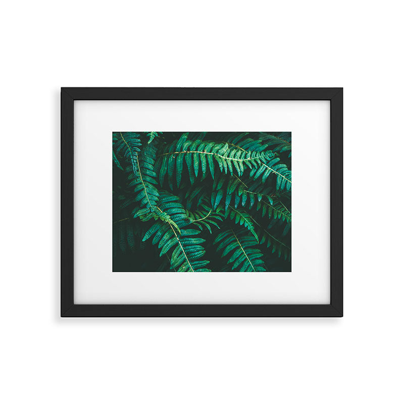 Ferns  Framed Art Print Gallery Image 5