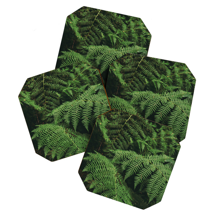 Ferns IX Coaster Gallery Image 1