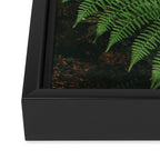 Ferns IX Framed Canvas Print Gallery Image 3