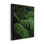 Ferns IX Framed Canvas Print Gallery Image 2