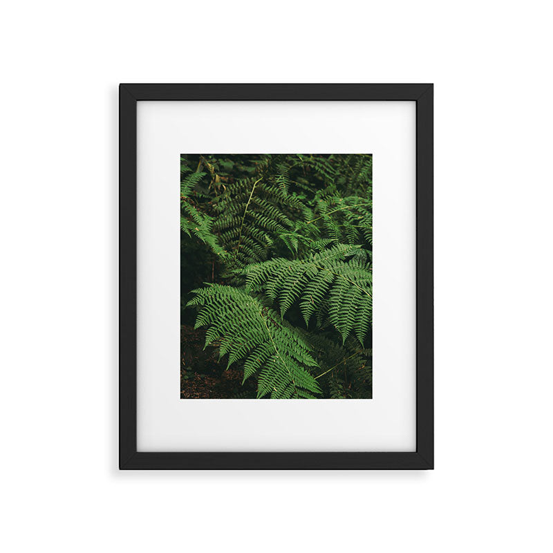 Ferns IX Framed Art Print Gallery Image 5