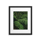 Ferns IX Framed Art Print Gallery Image 5