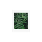 Ferns VI Art Print Gallery Image 1