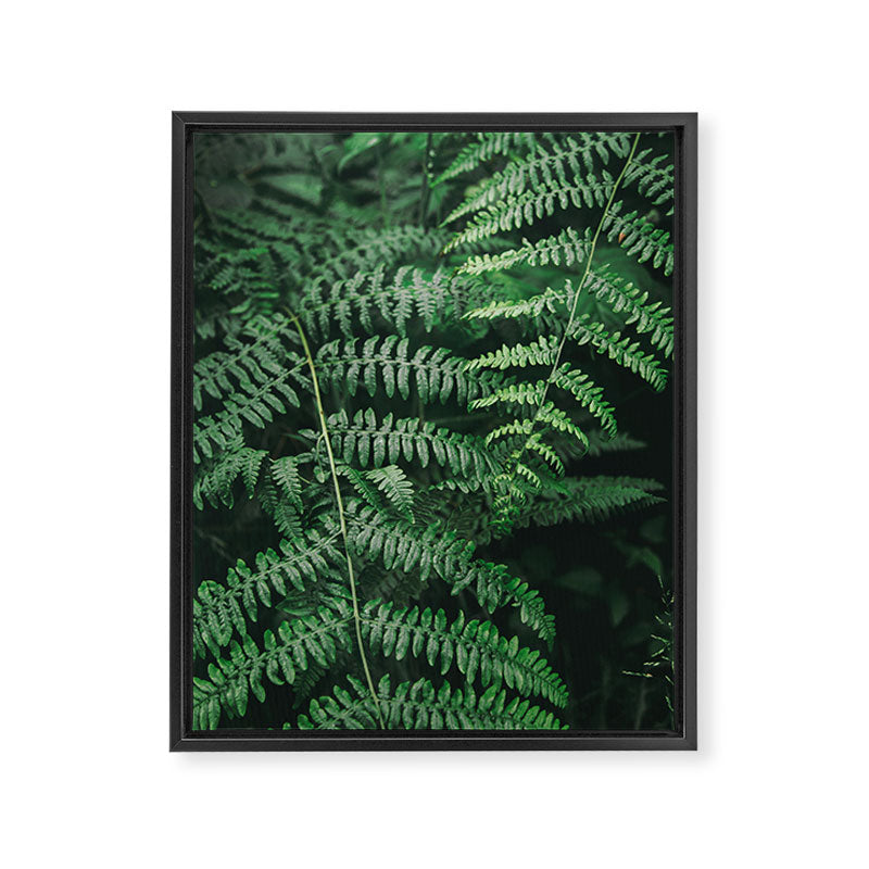 Ferns VI Framed Canvas Print Gallery Image 6