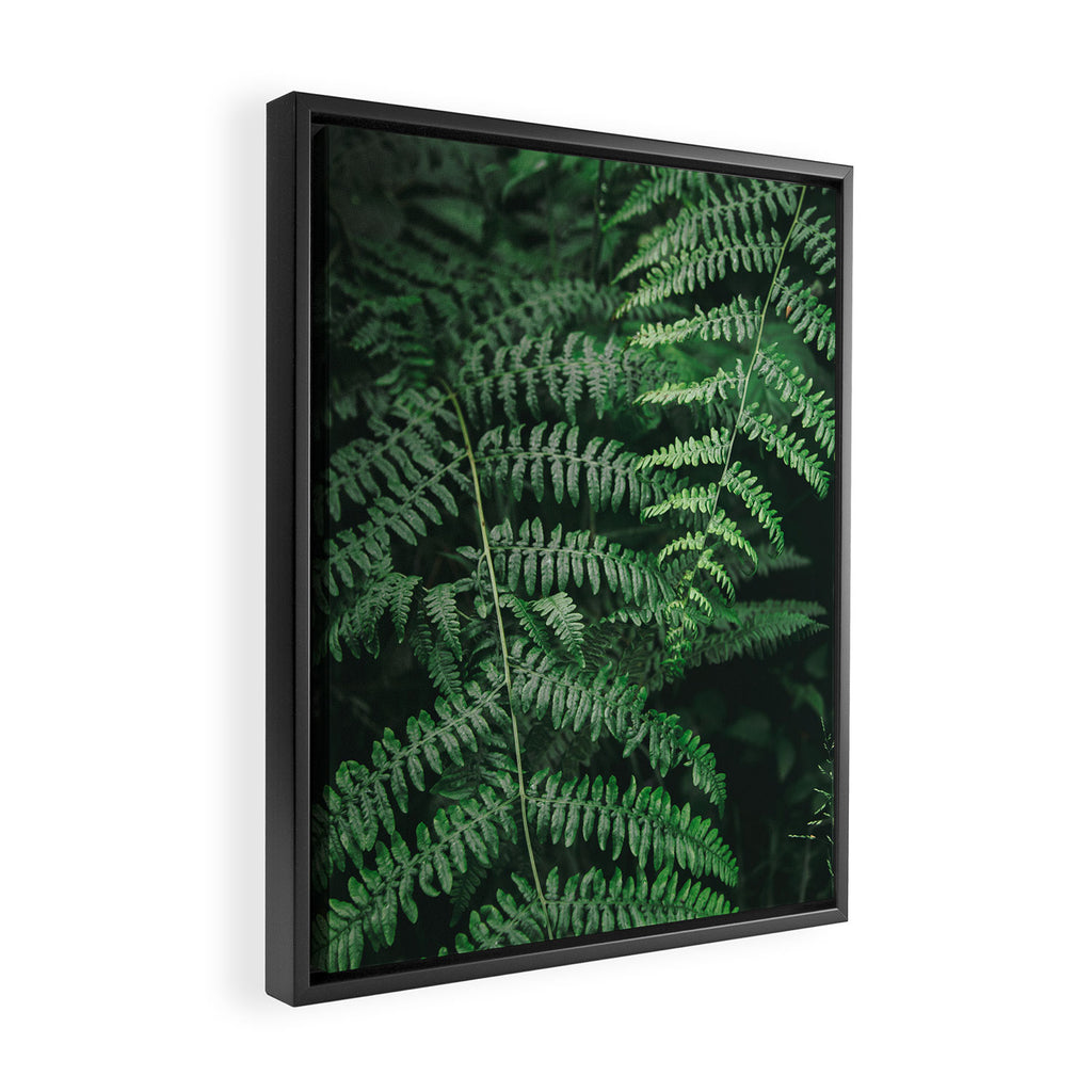 Ferns VI Framed Canvas Print Gallery Image 2